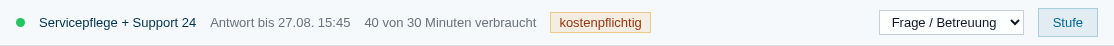 Supportleiste mit Stufe, Reaktionsfrist, verbrauchten Minuten, Abrechnungsmarke und Anfrageart